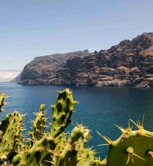 Day Pass en Tenerife